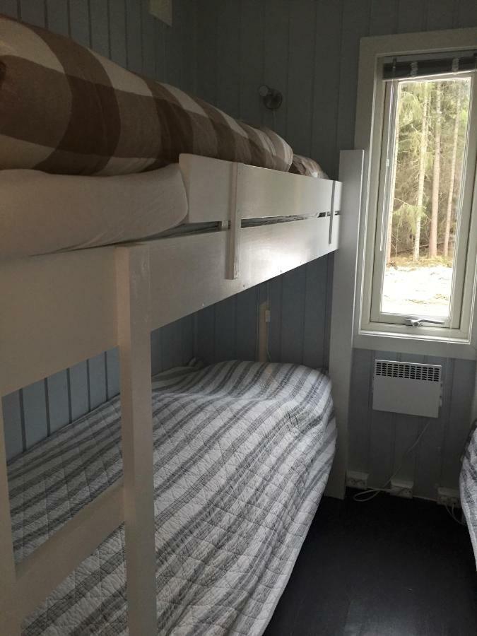 Koselig I Lodge Hemsedal