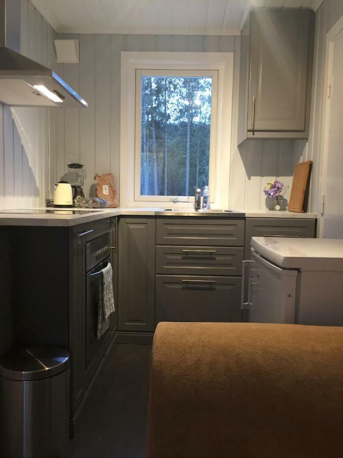 Koselig I Lodge Hemsedal