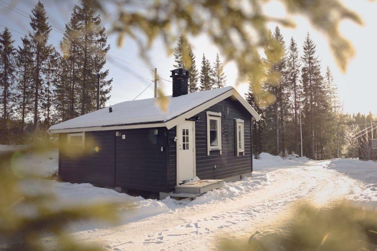 Koselig I Lodge *