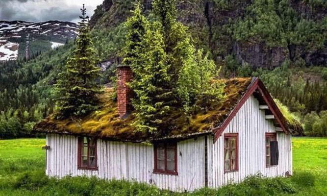 Lodge Koselig I