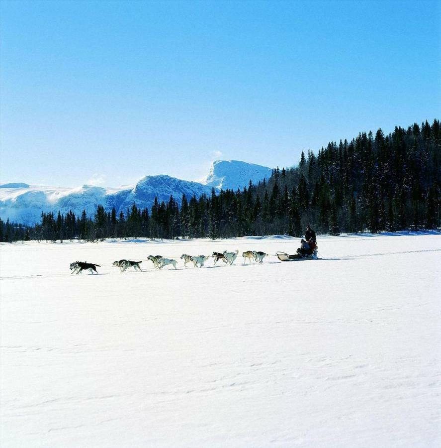 Koselig I Lodge *