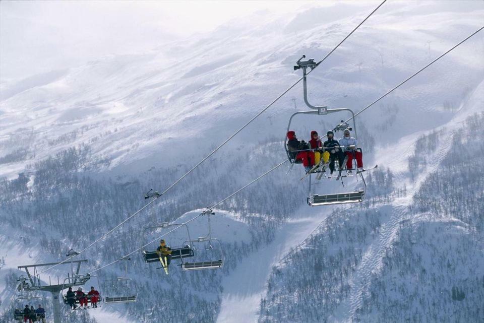Koselig I Lodge *